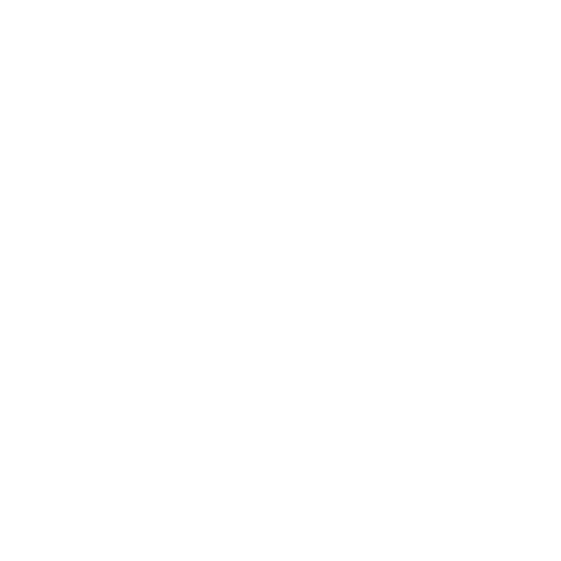 Kansainvälinen hiihtokoulu